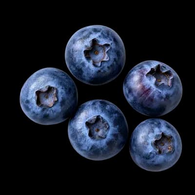 Heidelbeeren